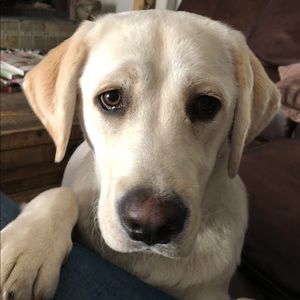 Meet your Posher, Melinda